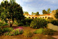 Mission Grounds